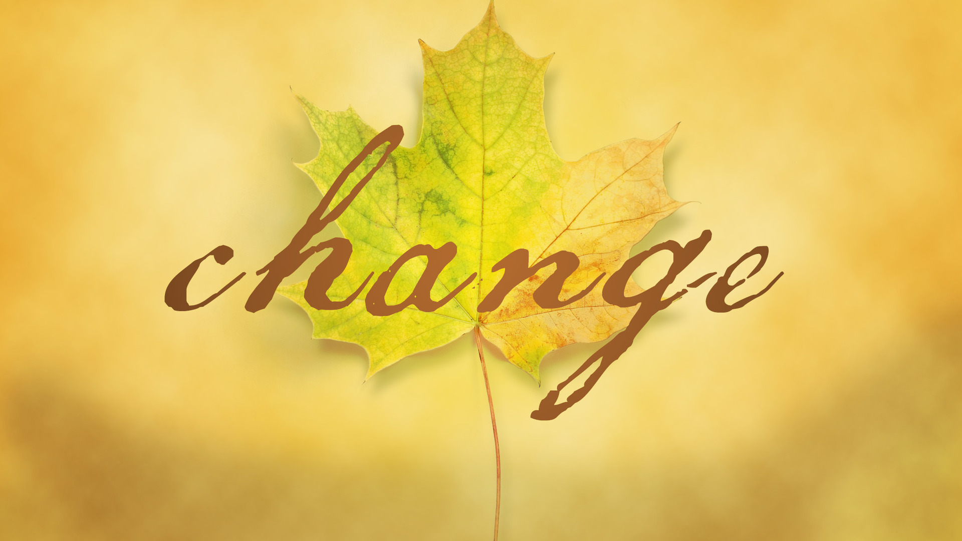 change-title-2-Wide 16x9